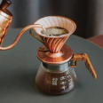 v60 regular